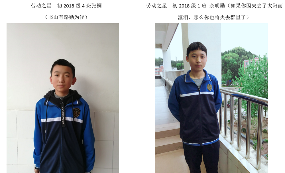 劳动之星.png